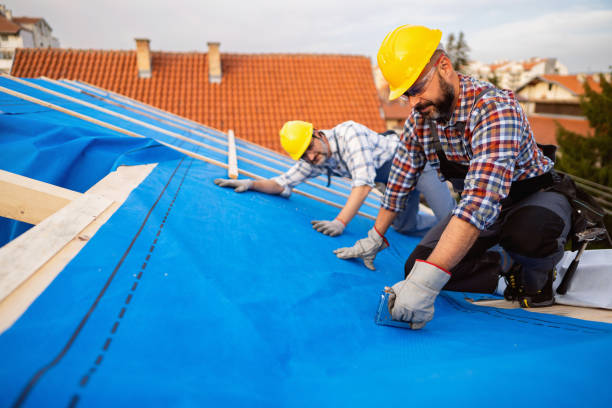 Best Roof Gutter Cleaning  in Franklin Lakes, NJ